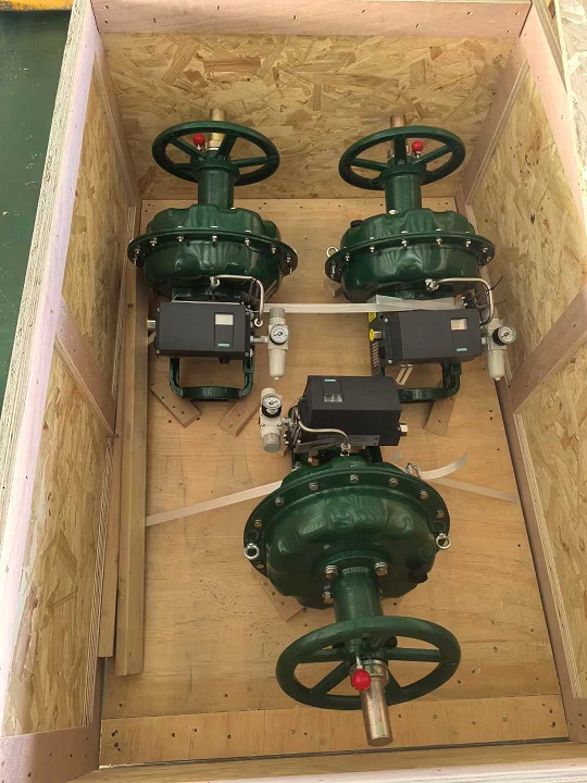 ������Ĥ����